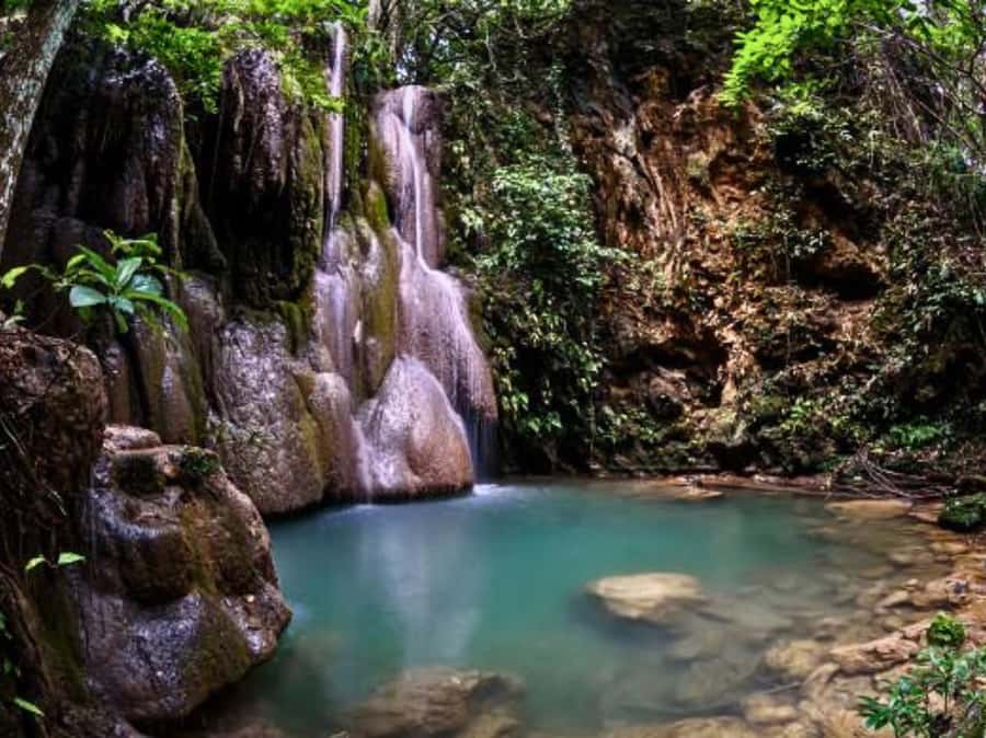 Chiang Mai: Culture of Temples and Sticky Waterfall - Getting the Best Day Out of Your Driver and Schedule