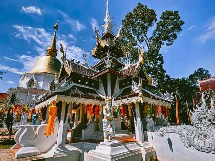 Chiang Mai: Culture of Temples and Sticky Waterfall - Hotel Pickup to Hotel Drop-Off, With a Licensed English Driver