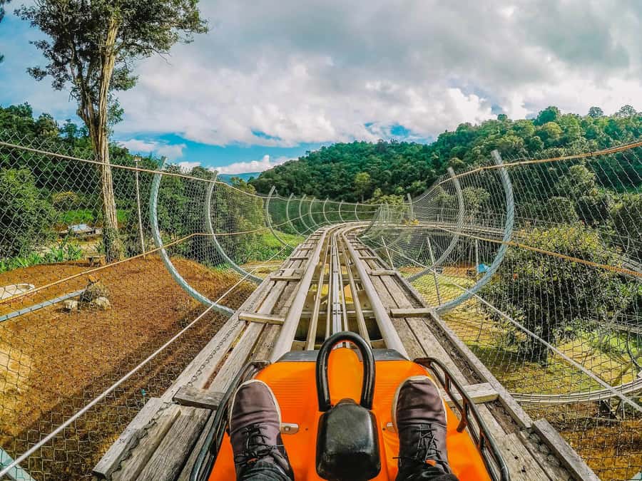 Chiang Mai: Customizable Chiang Mai Surrounding Areas Tour - Picking Your Own Chiang Mai Outskirts, Without Having to Plan