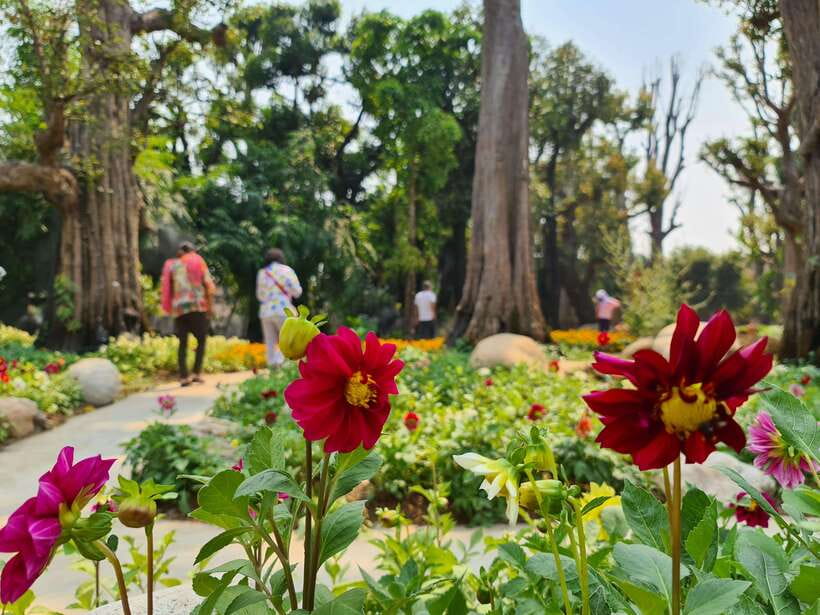 Chiang Mai: Dantewada Land of Angels & Sticky Waterfall Tour - Who This Tour Fits Best in Chiang Mai