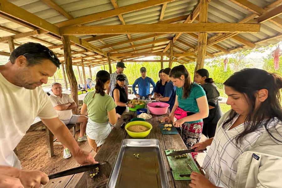 Chiang Mai: Day for Elephant Observation Only Half-day Trip - Morning or afternoon: what the itinerary means in real life