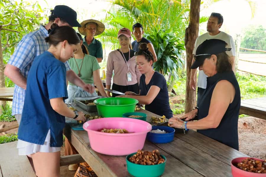 Chiang Mai: Day for Elephant Observation Only Half-day Trip - Vitamin workshop and habitat-care tasks you actually understand