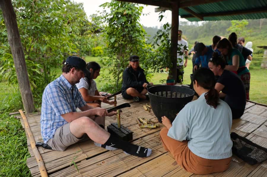 Chiang Mai: Day for Elephant Observation Only Half-day Trip - Cost and value: what $46 buys you, and what it replaces