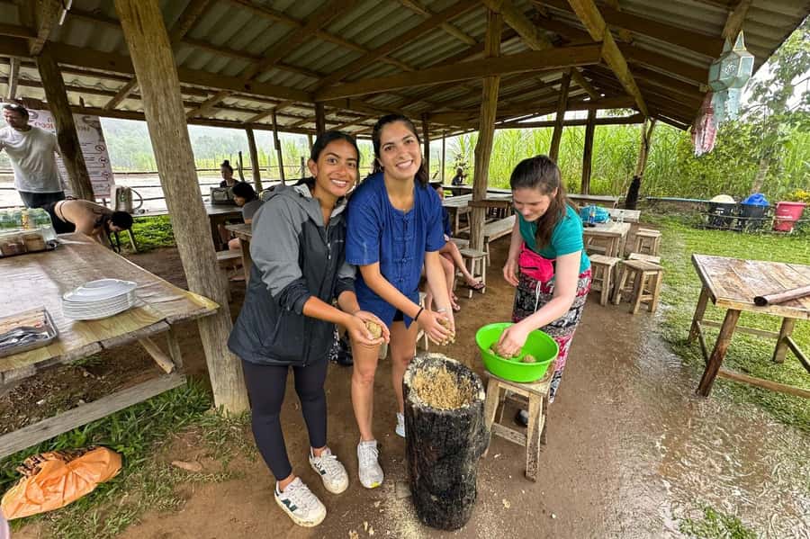 Chiang Mai: Day for Elephant Observation Only Half-day Trip - The timing that can make this feel short or long