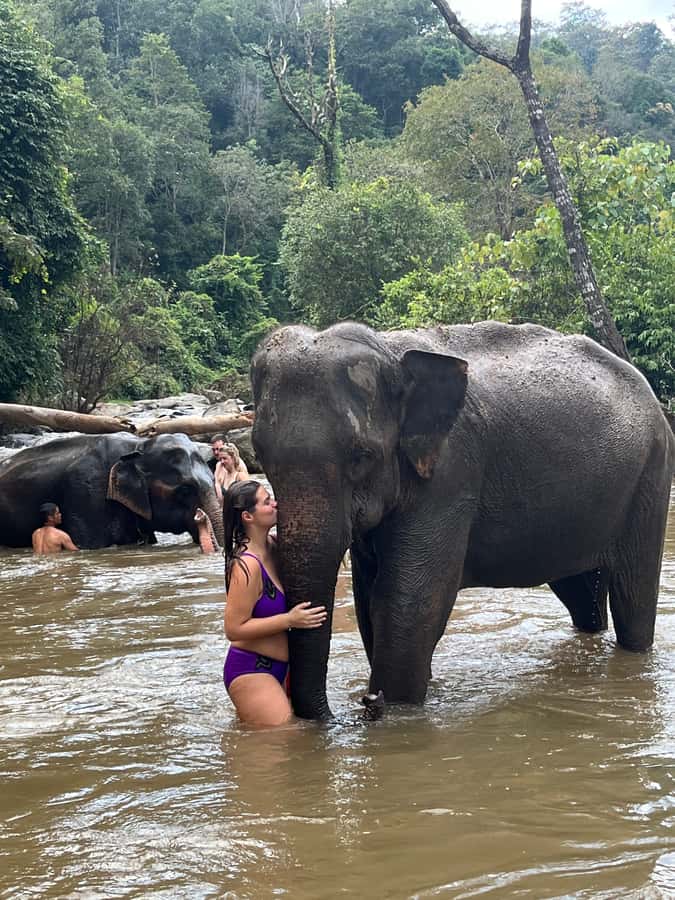 Chiang Mai: Doi Inthanon and Elephant Sanctuary Tour - Feeding elephants the right way, with guidance that keeps it respectful