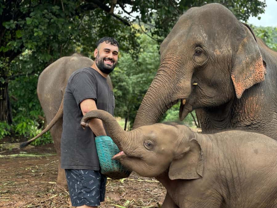 Chiang Mai: Doi Inthanon and Elephant Sanctuary Tour - Price and what you really get for $81