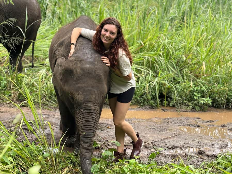 Chiang Mai: Doi Inthanon and Elephant Sanctuary Tour - Twin Royal Pagodas and terraced gardens with big mountain views