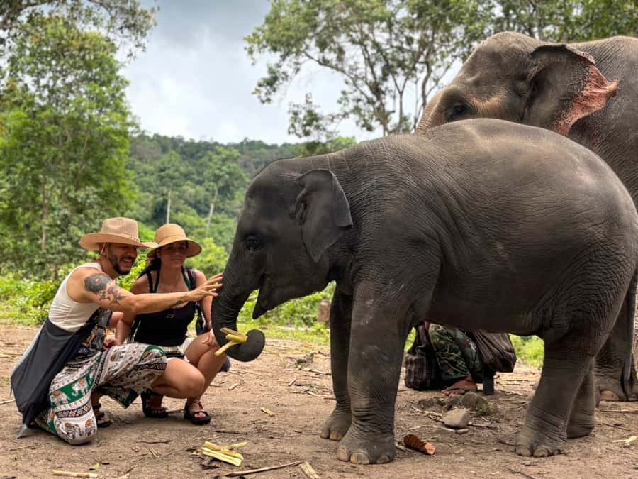 Chiang Mai: Doi Inthanon and Elephant Sanctuary Tour - Lunch time at a local restaurant, and why it matters