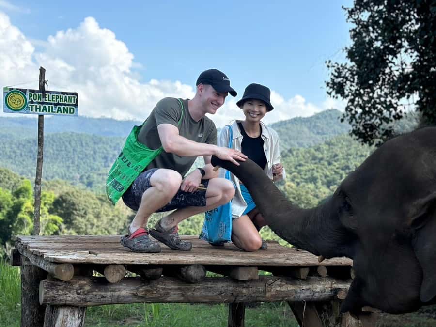 Chiang Mai: Doi Inthanon and Elephant Sanctuary Tour - From mountain roads to the Elephant Village in the hills