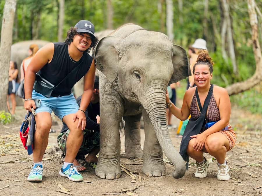 Chiang Mai: Doi Inthanon and Elephant Sanctuary Tour - The early drive from Chiang Mai, and why the start matters