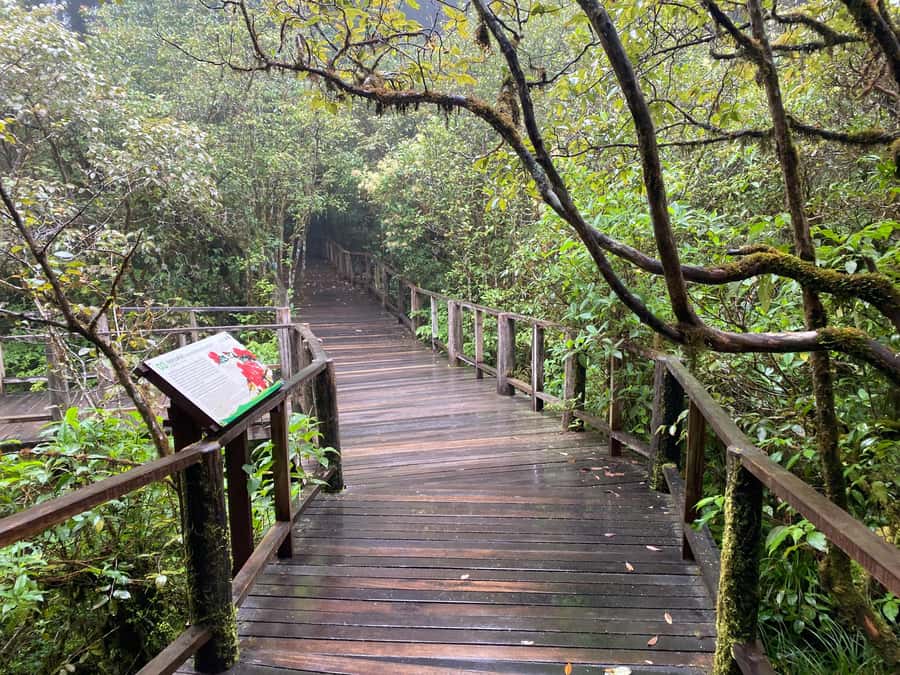 Chiang Mai: Doi Inthanon Explore & ATV Adventure - Wachirathan Waterfall in the Afternoon: How to Enjoy It Without Rushing