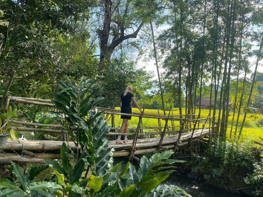 Chiang Mai: Doi Inthanon Explore & ATV Adventure - ATV Adventure in Doi Inthanon: Ride Time, Safety Gear, and What You Feel