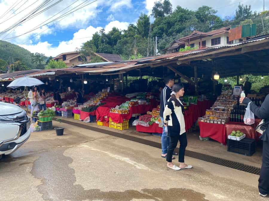 Chiang Mai: Doi Inthanon Explore & ATV Adventure - Kew Mae Pan and Pha Dok Siew: Nature Walks That Add Variety