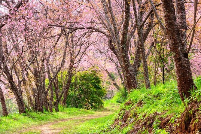 Chiang Mai - Doi Inthanon Full day Tour - Sirithan Falls: a shorter stop with a dramatic cliff feel