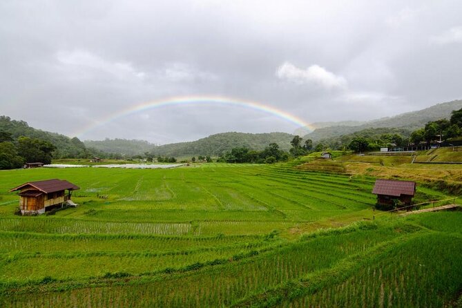 Chiang Mai - Doi Inthanon Full day Tour - Small-group day trips, and the group size question you should ask