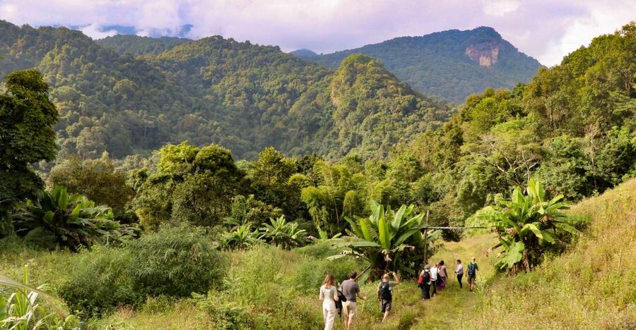 Chiang Mai: Doi Inthanon Highlights Small Group Tour - Key highlights worth showing up for