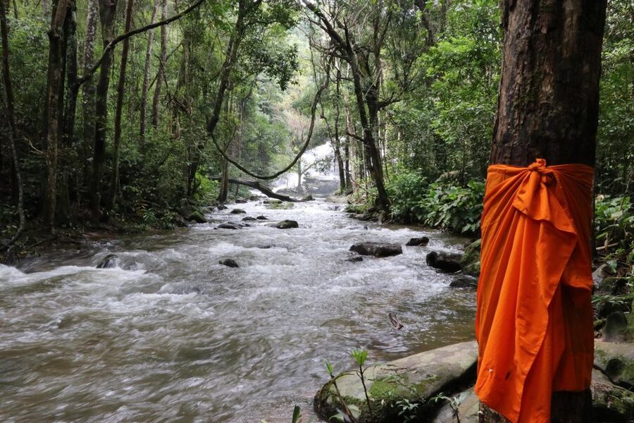 Chiang Mai: Doi Inthanon Highlights Small Group Tour - Waterfall time: Wachirathan as your final exhale