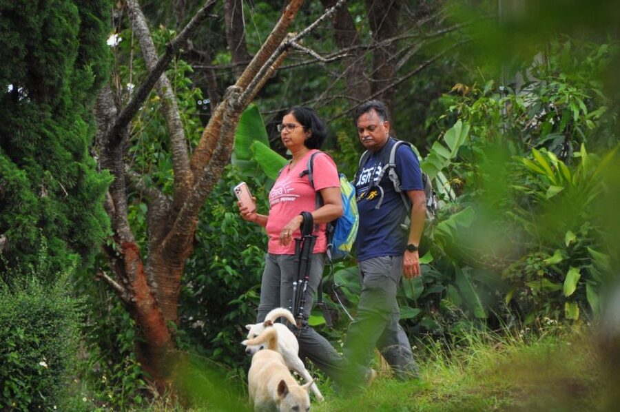 Chiang Mai: Doi Inthanon Highlights Small Group Tour - Small group reality: comfort, peace, and the crowd factor