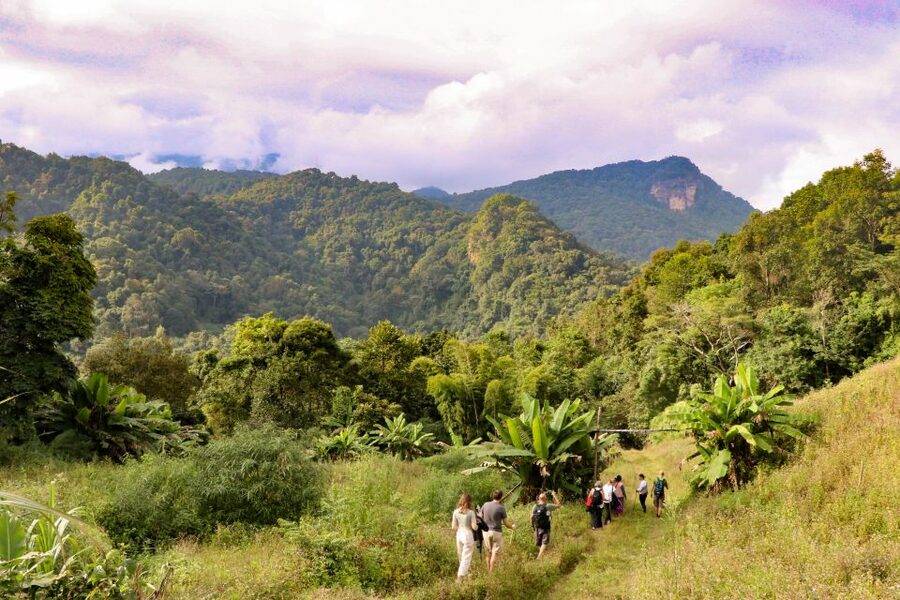 Chiang Mai: Doi Inthanon Highlights Small Group Tour - Getting there from Chiang Mai: the 8am start and 2 hours on the road