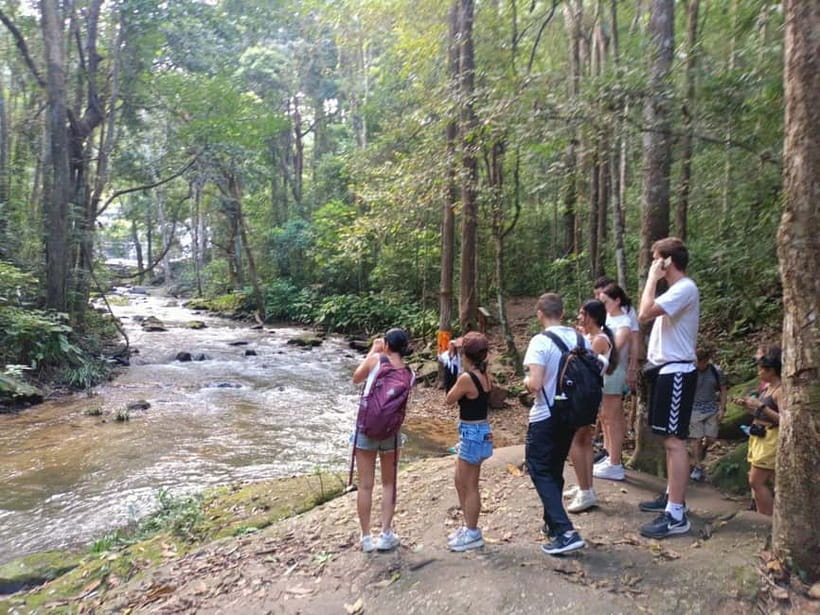Chiang Mai: Doi Inthanon Hiking & Elephant Sanctuary Program - Doi Inthanon National Park: summit views, Twin Pagodas, and Botanical Gardens