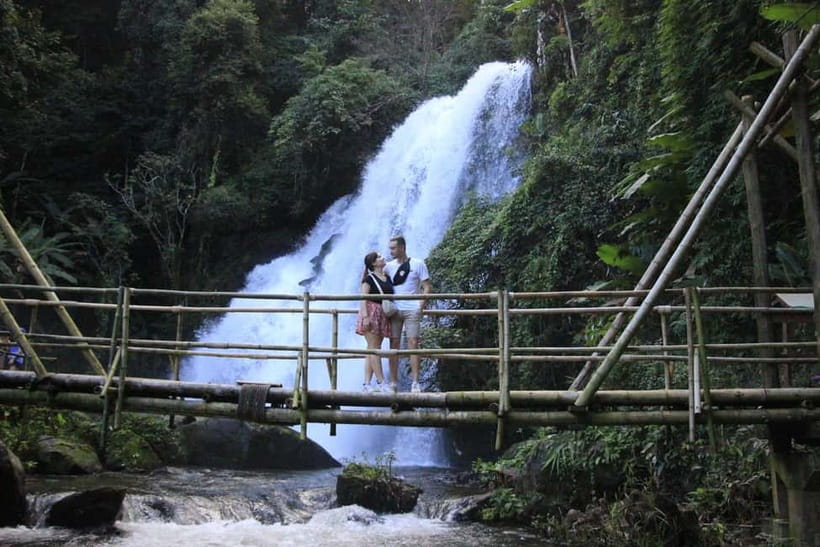 Chiang Mai: Doi Inthanon Hiking & Elephant Sanctuary Program - Organic Karen hilltribe coffee farm: taste, context, and a bit of walking