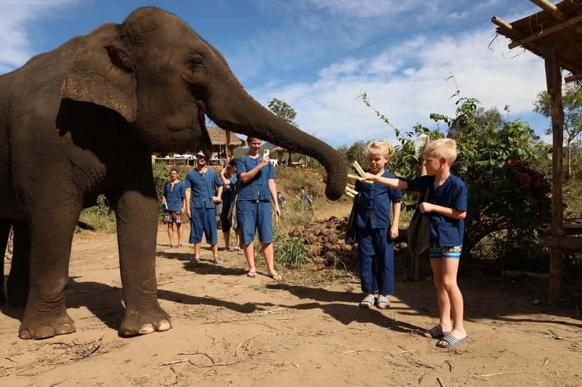 Chiang Mai: Doi Inthanon Hiking & Elephant Sanctuary Program - Living Green Elephant Sanctuary: walking, feeding, and optional bathing