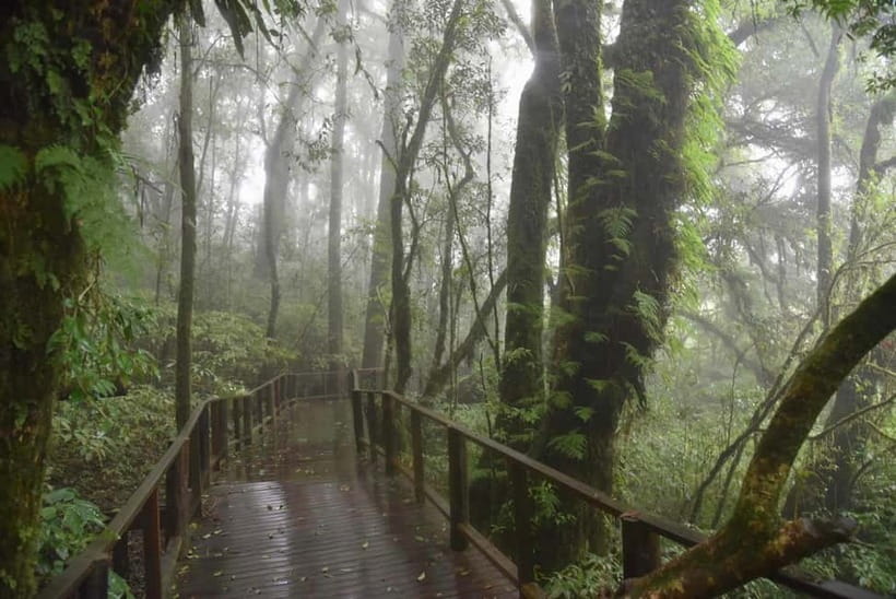 Chiang Mai: Doi Inthanon National Park and Kew Mae Pan Tour - First stop: the 2,565-meter summit on Doi Inthanon