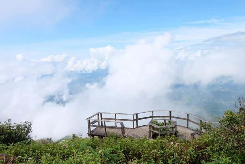 Chiang Mai: Doi Inthanon National Park and Kew Mae Pan Tour - Kew Mae Pan Nature Trail: 2.5 km through cloud forest