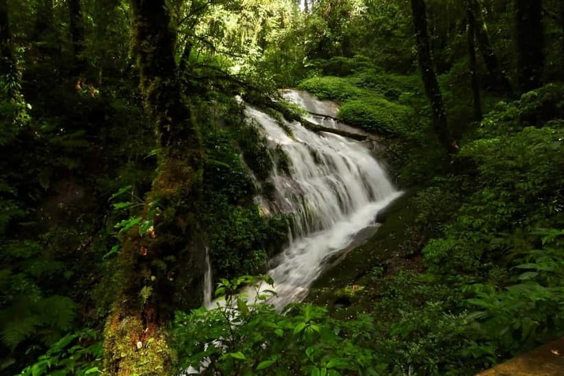 Chiang Mai: Doi Inthanon National Park and Kew Mae Pan Tour - What $61 buys you on a one-day mountain circuit