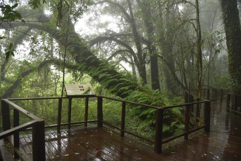 Chiang Mai: Doi Inthanon National Park and Kew Mae Pan Tour - Weather reality check: fog can change the whole day
