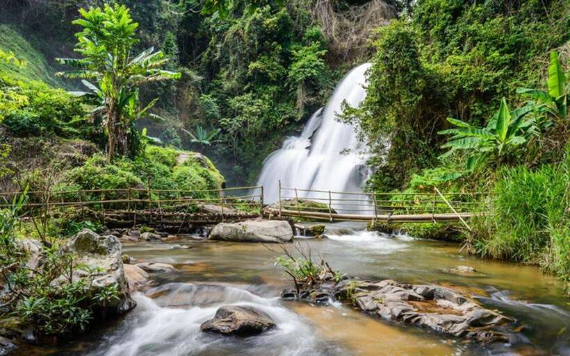 Chiang Mai: Doi Inthanon National Park and Pha Dok Siew Trek - King and Queen Twin Pagodas, more than a postcard stop