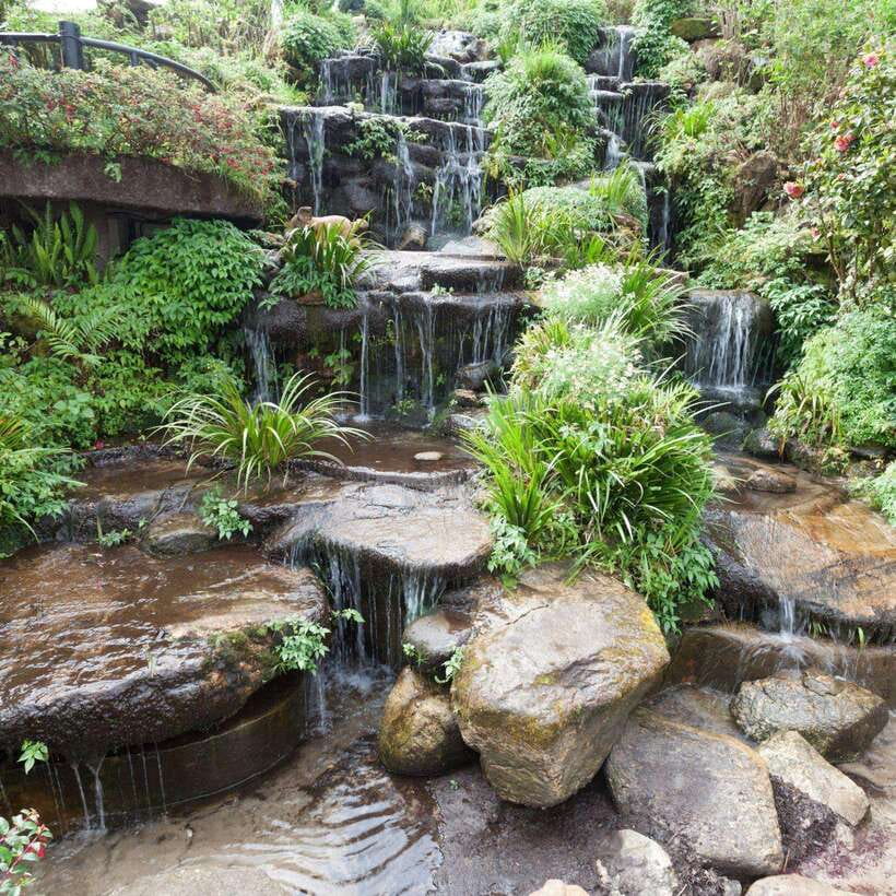 Chiang Mai: Doi Inthanon National Park Day Tour with Lunch - Thailand’s highest spot: when the views feel like the main event