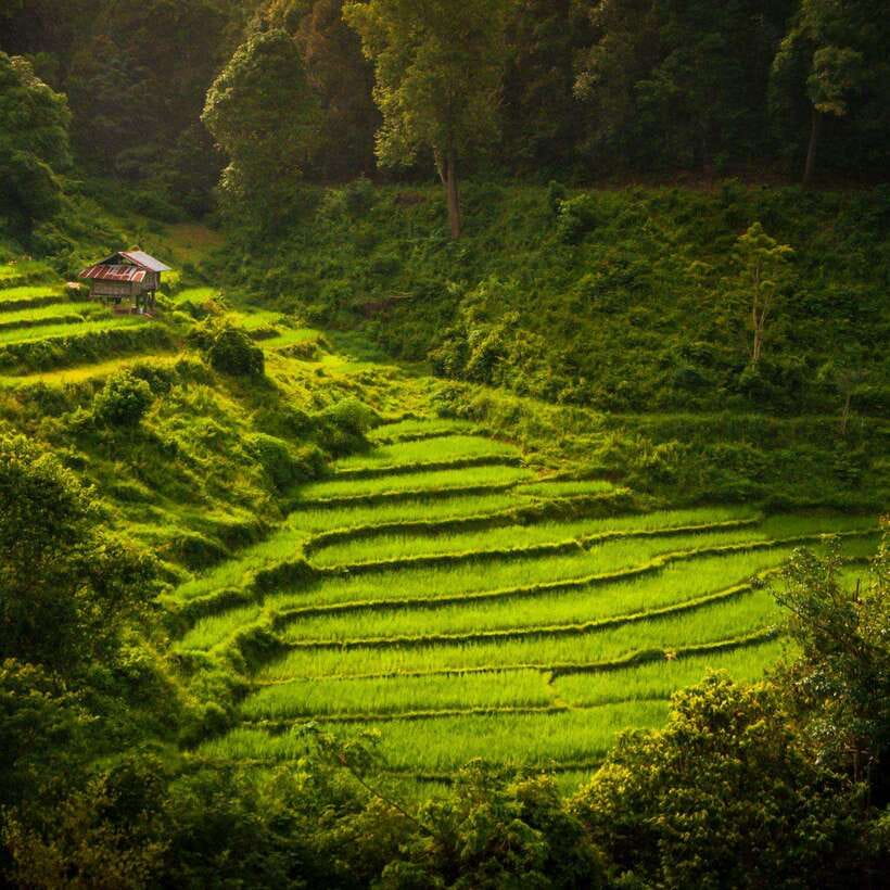 Chiang Mai: Doi Inthanon National Park Day Tour with Lunch - Hmong Market: crafts, produce, and real local rhythms