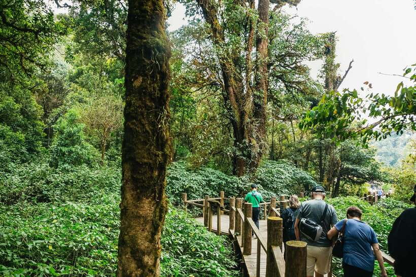 Chiang Mai: Doi Inthanon National Park Eco-Friendly Tour - Key Highlights That Make This Tour Worth Your Time