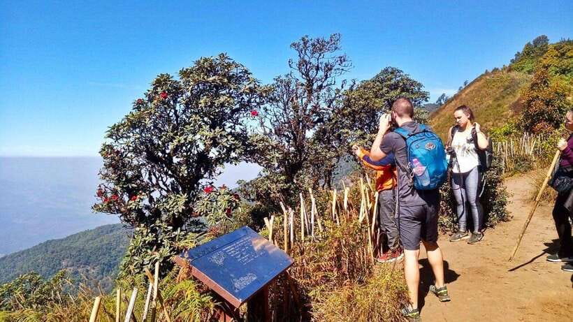 Chiang Mai:Doi Inthanon National Park & Hike at Kew Mae Pan - Key Things That Make This Day Trip Worth Your Time