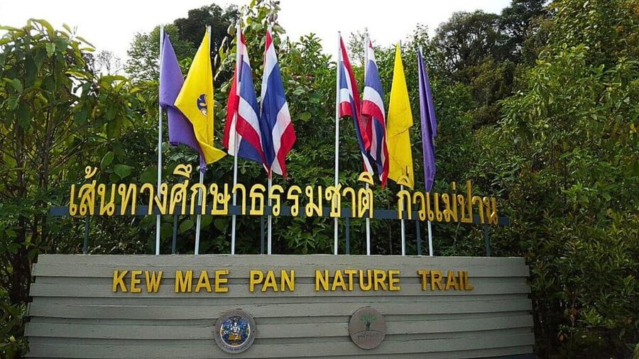 Chiang Mai:Doi Inthanon National Park & Hike at Kew Mae Pan - Kew Mae Pan Nature Trail Hike: The Main Work, the Mist Views, the Knee Warning