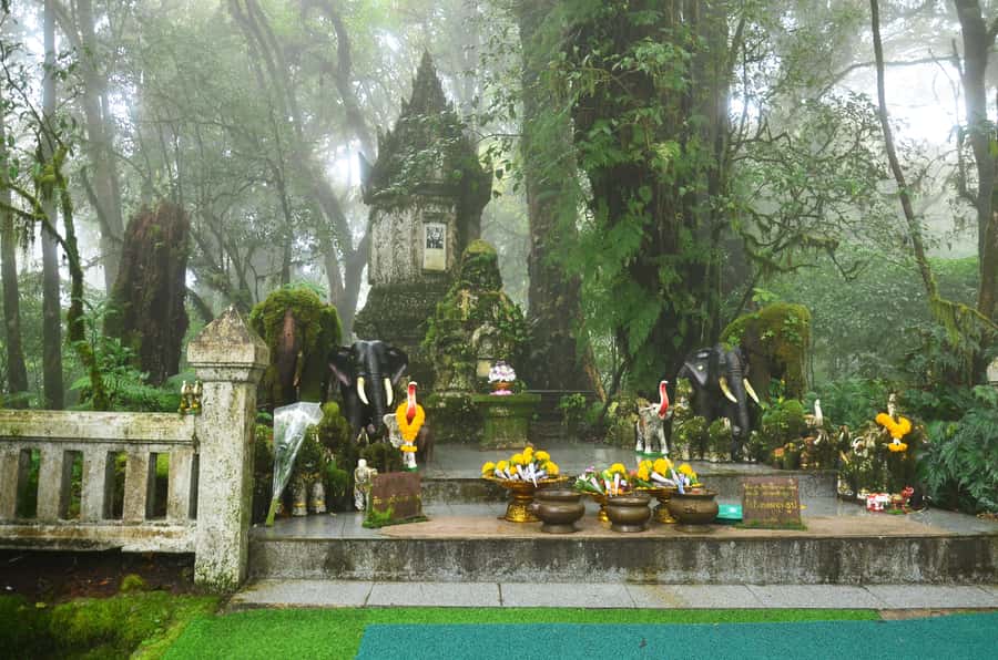 Chiang Mai: Doi Inthanon National Park Private Tour - The private-guide team, what the reviews say, and what that means for you