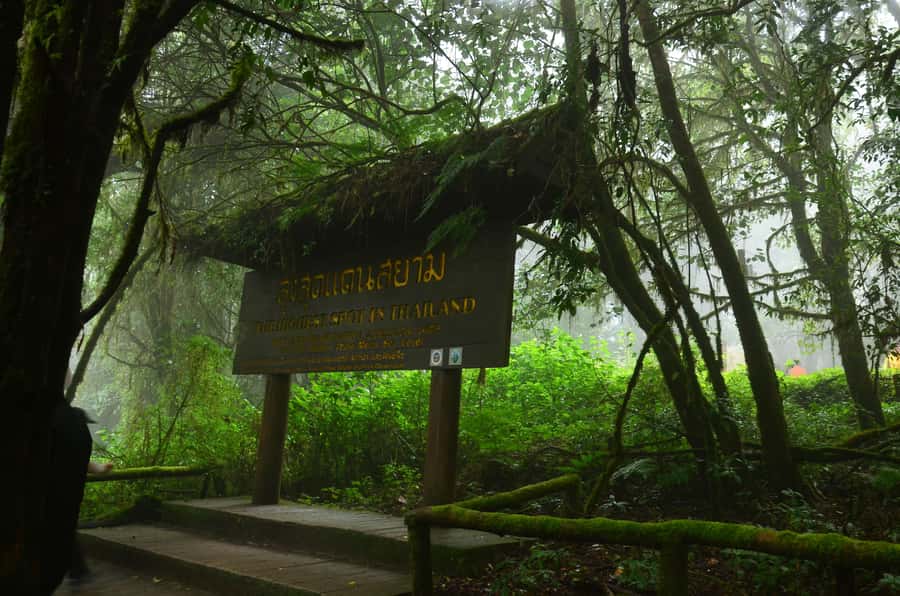 Chiang Mai: Doi Inthanon National Park Private Tour - Choose your tour option: sightseeing, Kew Mae Pan ridge trek, or Pha Dok Sieo trail
