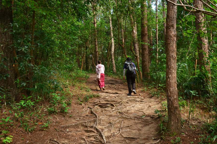 Chiang Mai: Doi Inthanon National Park Private Tour - Twin Royal Pagodas and the Grand Pagoda Nabhapolbhumisiri, why this stop matters