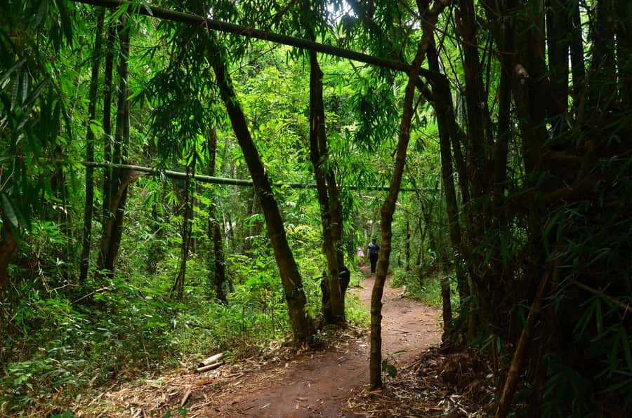 Chiang Mai: Doi Inthanon National Park Private Tour - Karen Hill Tribe village and market: how to make it respectful and useful