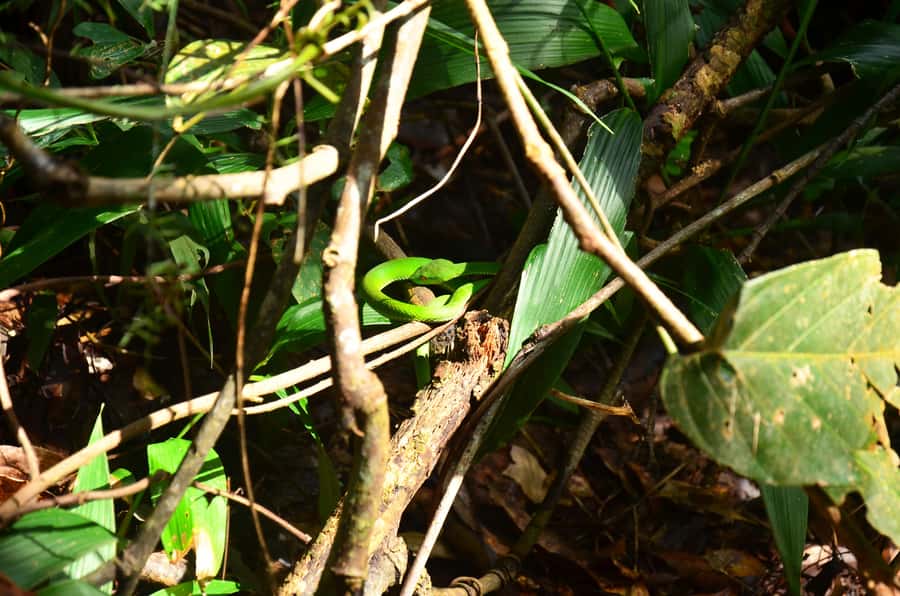 Chiang Mai: Doi Inthanon National Park Private Tour - Lunch in the national park: included, simple, and timed for energy