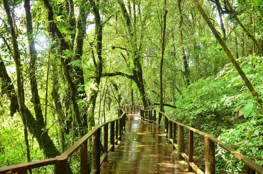 Chiang Mai: Doi Inthanon National Park Private Tour - Summit time at Doi Inthanon: choose the option that matches your weather tolerance