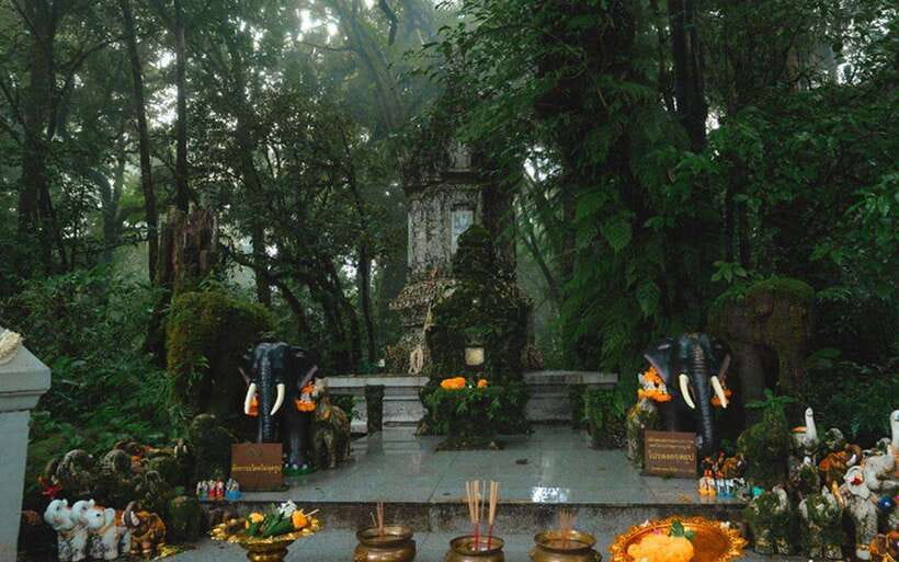 Chiang Mai: Doi Inthanon National Park Sightseeing Only - Sirithan Waterfall and Wachirathan Waterfall: photo stops with real payoff