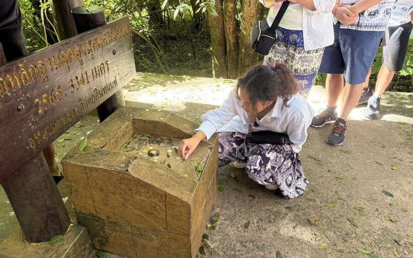 Chiang Mai: Doi Inthanon National Park Sightseeing Only - Comfort, packing, and “what can trip you up”