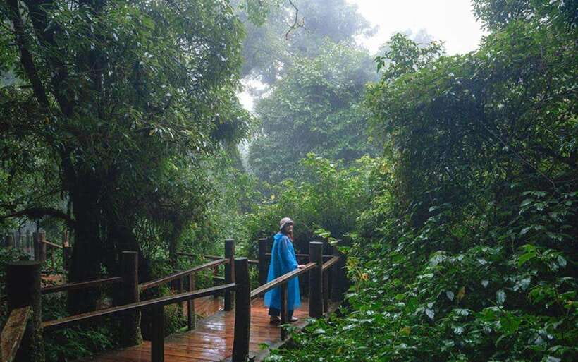 Chiang Mai: Doi Inthanon National Park Sightseeing Only - Who this Chiang Mai Doi Inthanon trip is best for