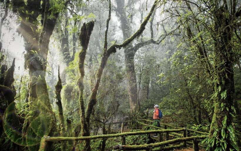 Chiang Mai: Doi Inthanon National Park Sightseeing Only - Doi Inthanon National Park: the highest mountain, with guided help and free time