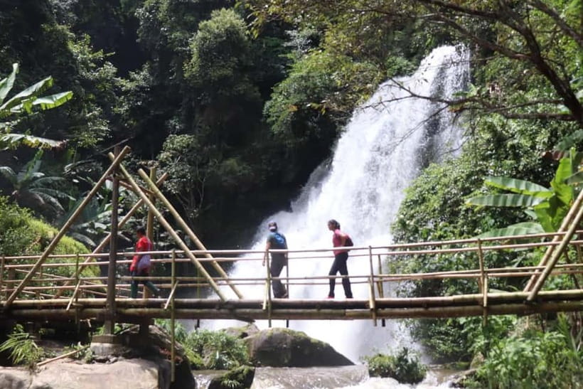 Chiang Mai: Doi Inthanon National Park+Trek Pha Dok Siew - Doi Inthanon Day Trip Starts With a Chilly Early Pick-Up
