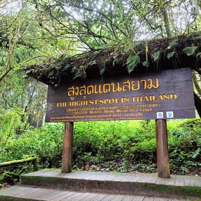 Chiang Mai: Doi Inthanon National Park+Trek Pha Dok Siew - Pha Dok Siew Nature Trail: The Part That Feels Like Walking in the Real Park