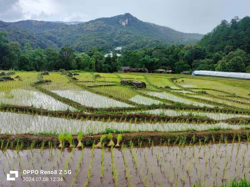 Chiang Mai: Doi Inthanon National Park+Trek Pha Dok Siew - Pace, Timing, and Group Size: This Tour Runs Full, Not Lazy