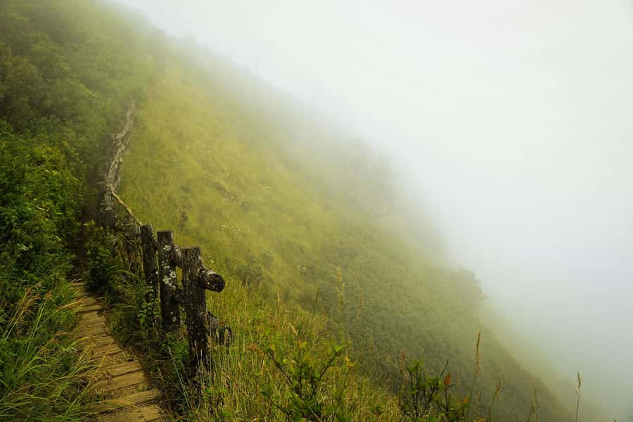 Chiang Mai: Doi Inthanon National Park, Waterfall & Lunch - Key Things To Know Before You Go